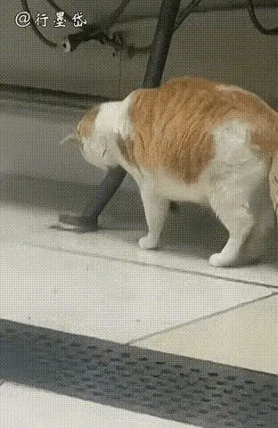 走进生活点点滴滴：反复看了好几遍，原来下