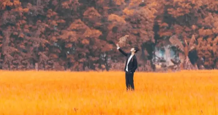 层次越低的人，越喜欢内耗