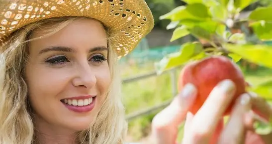 果树修剪秘籍：剪对枝条，年年丰产