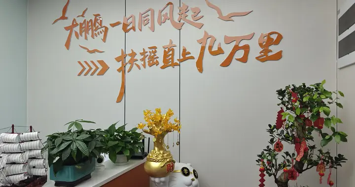 感觉效果如何？