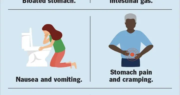 英语高级词汇：lactose