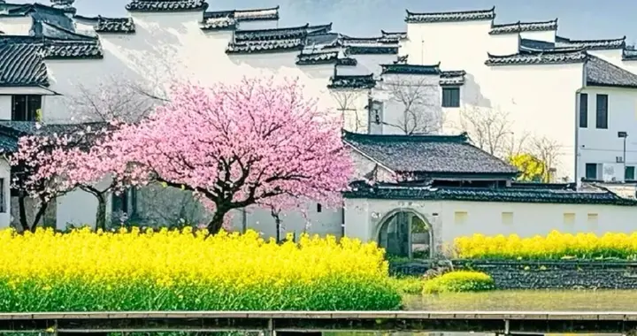 宏村、篁岭、庆源…一条路线带你感受皖南最美乡村春色