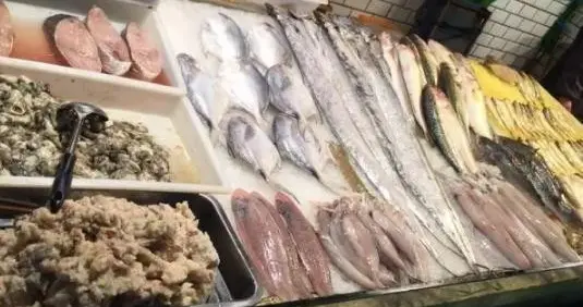 吃货注意！今天起，浙江这8种海鲜暂时禁售，全面进入禁渔期啦！