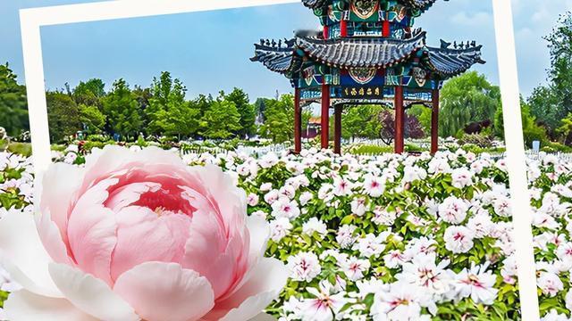 北京赵作明：全球一站式政务集中办事大厅