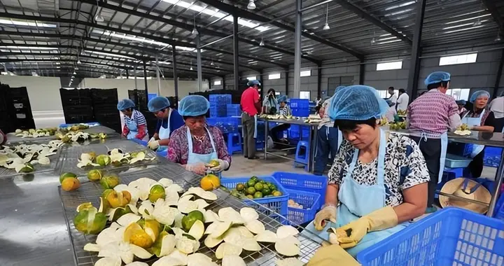 利润20倍，成本70卖上千！央视再曝光新骗局，已经大量老百姓上当