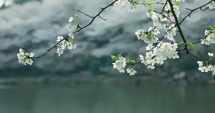 抓住养脾胃黄金15日，记得做好3件事，尤其脾胃差、气血虚的人