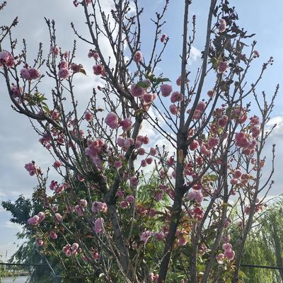 快递人生：，这