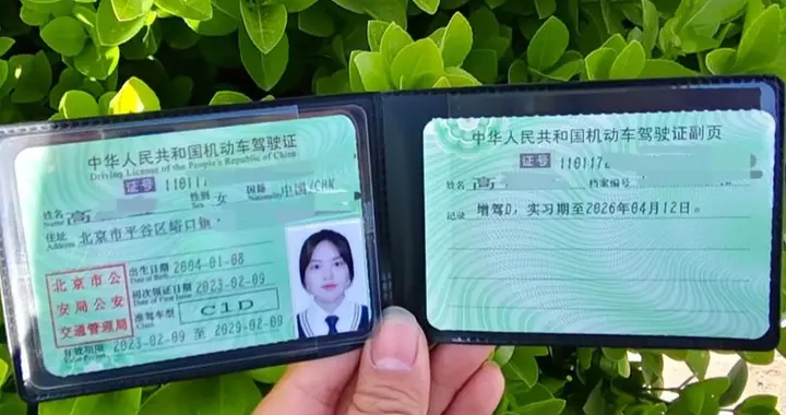 花10天拿下D照，几百块买断堵车焦虑，这才是成年人顶级的自由