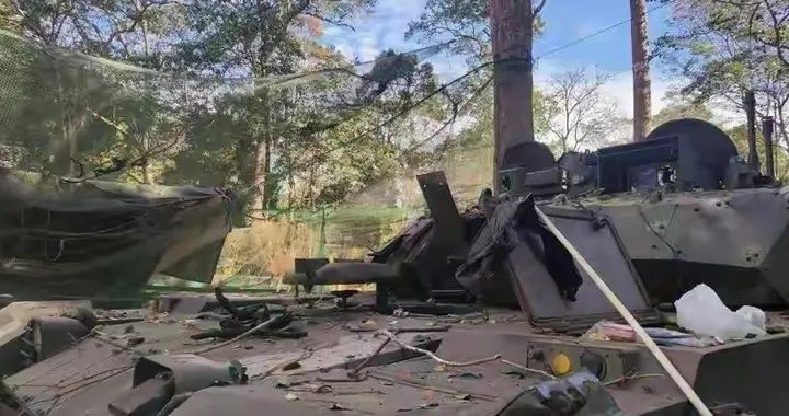 泰国VT4再次出现炸膛，真的是泰军使用不当吗？