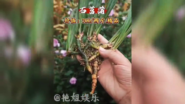 你认识几种？大自然的馈赠