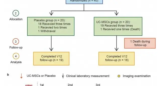 全球首个多剂量脐带干细胞治疗心衰临床试验发布：右心获益显著，抗凝风险需关注