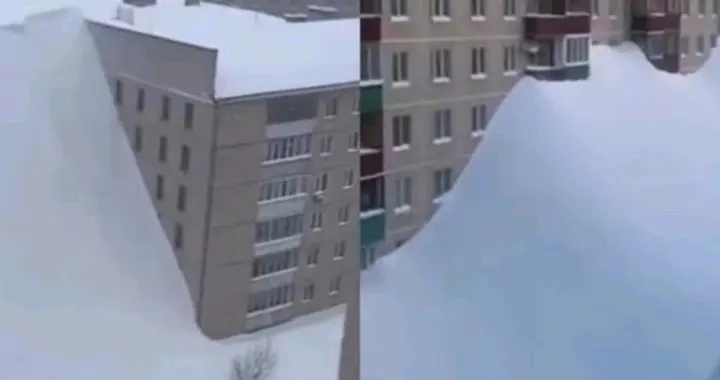 留学生实锤！9层楼积雪竟是AI造假，真实灾情被流量闹剧掩盖