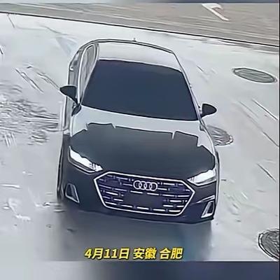 花果山桃：前几天是江西九江无牌路虎加油逃