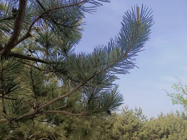 真正拖垮男人的，不是穷，而是老婆缺了这三样！