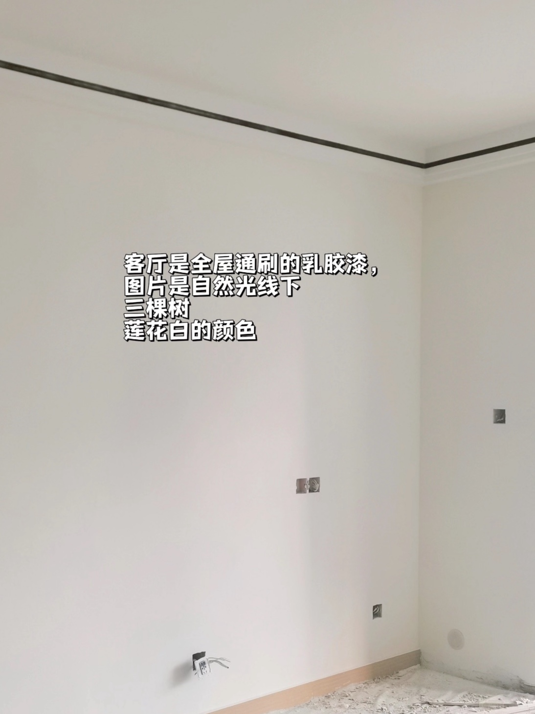 三棵树莲花白！没翻车！