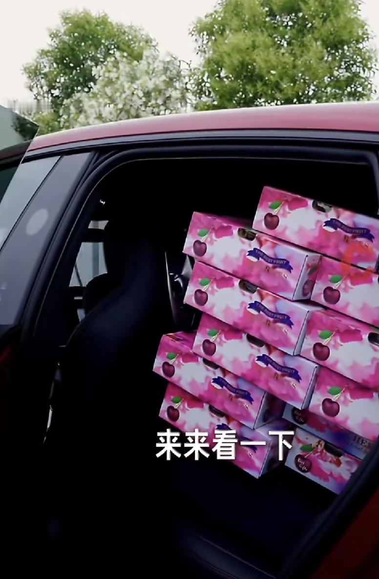 网友真会找茬 雷军发了个开小米yu7 装满600斤车厘子的视频也能被批...