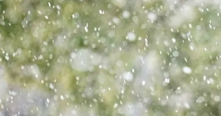 吉林开启“降温+降雪”模式！中到大雪轮番登场，阵风可达7级