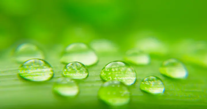 喜欢阳台种菜的人注意，雨水浇菜竟有这些健康风险