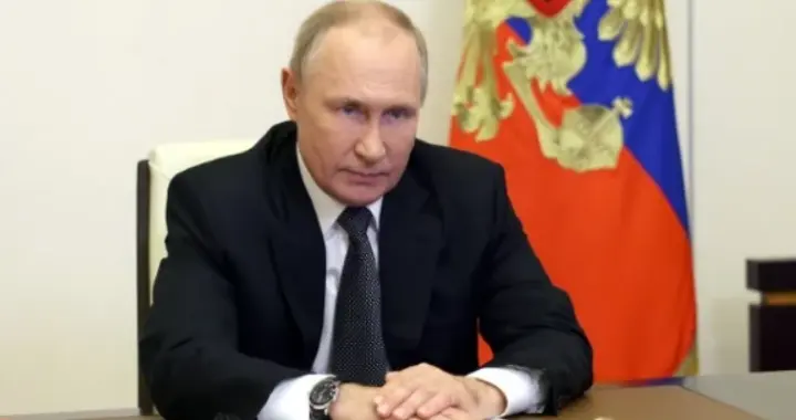 普京决定加入和平委员会前，他打算先问问中国怎么办