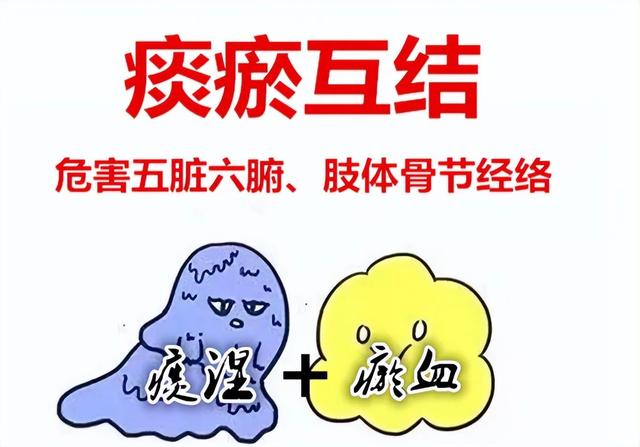 陈皮|积聚在体内的痰和瘀，一个方子排出去