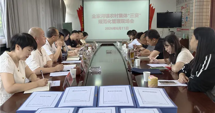 略阳县金家河镇召开农村集体“三资”规范化管理现场会