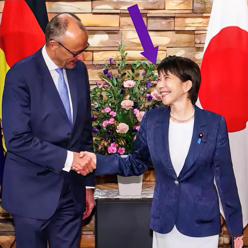 啧啧啧，好一副郎有情妾有意的样子  德国与日本，同为二战的轴心国、战败...