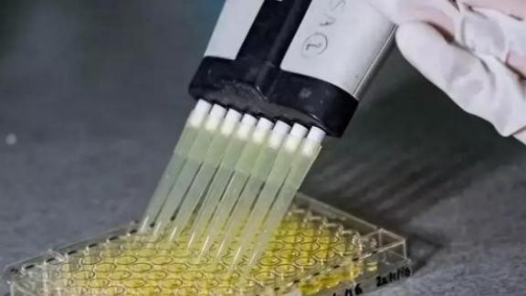 历侠听说：[兔子]日本对中国唯一能够反制