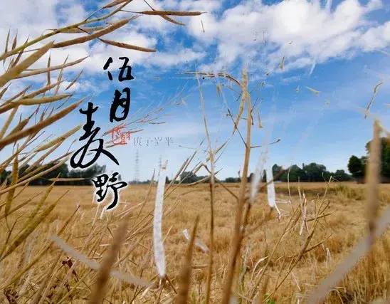 明日出伏，不管有多忙，提醒女人：这8件事不宜再做！