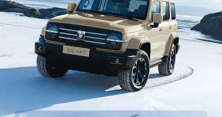 国补延续 厂补同享 坦克300厂补至高18000元