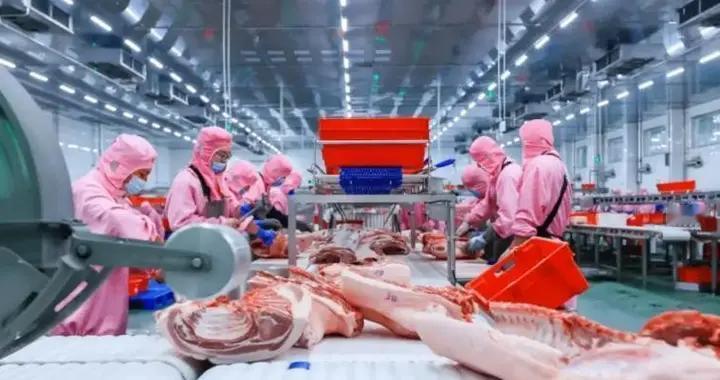 手握5800万头牛羊，为什么蒙古国牧民，反倒抢购中国预制菜？