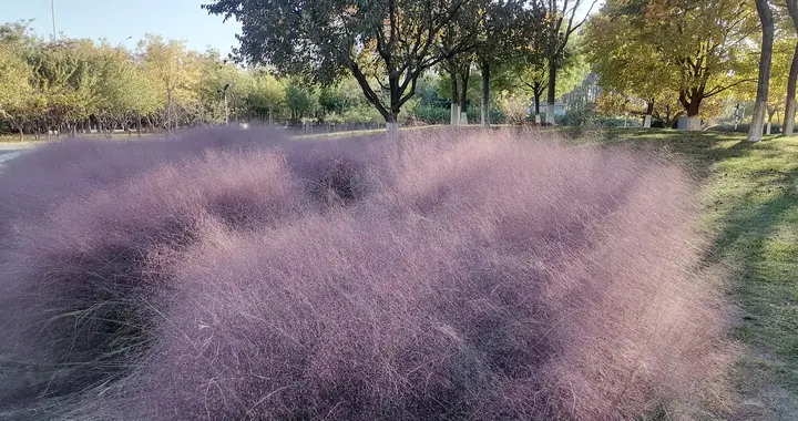 有一种女人，和谁结婚都会幸福，因为她了解人性，内核稳