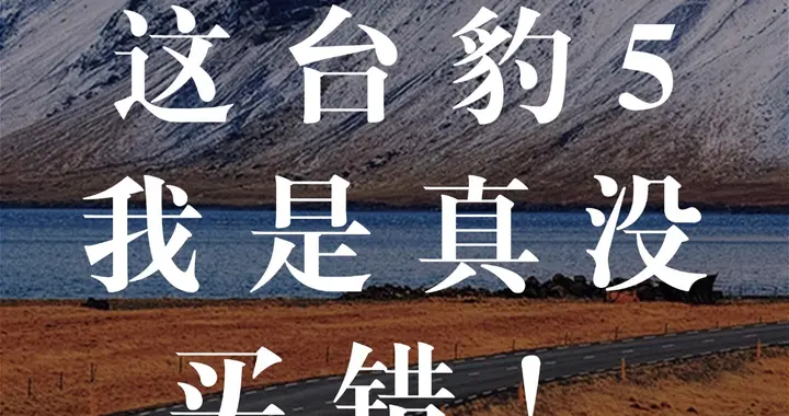 方程豹豹5，开了就真香了！