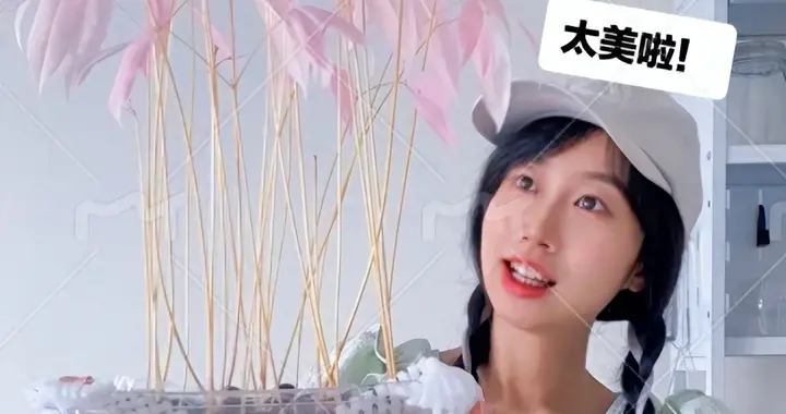 安徽一姑娘将荔枝核丢水里，20天成“粉森林”，网友：氛围感绝了