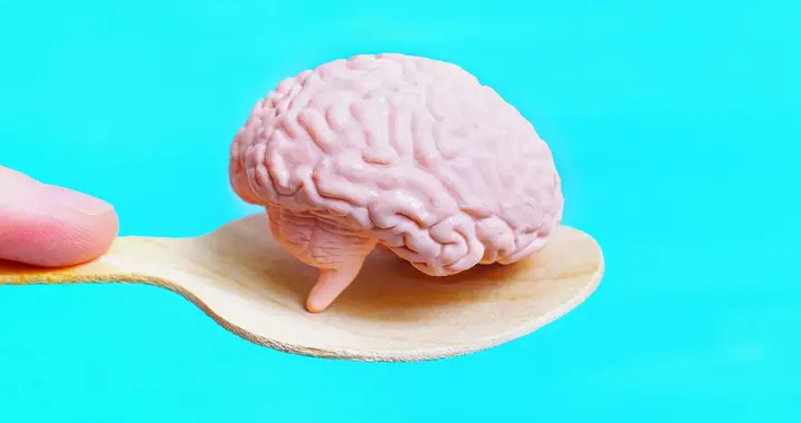 突破性进展助力科学家构建更逼真的人脑模型