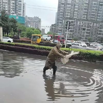 落叶有情：暴雨过后的武汉， 城市道路上全