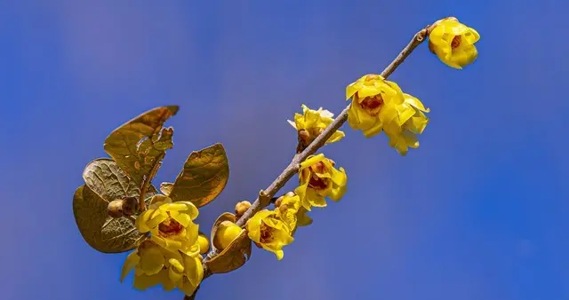 准得惊人：立春刚过，凡是刷到这篇的人，世间所有惊喜要登场了！