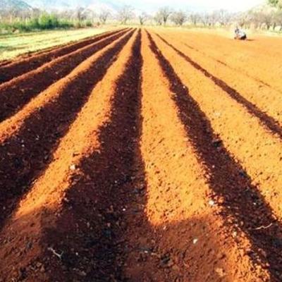 老易说史：讲讲我们中华民族安身立命的农耕