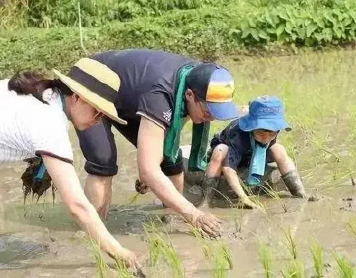 豪门典范：当财富遇见质朴家风