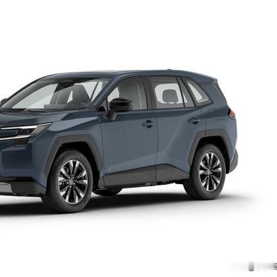 年年爱头条：纠结荣放两驱还是四驱？先看场