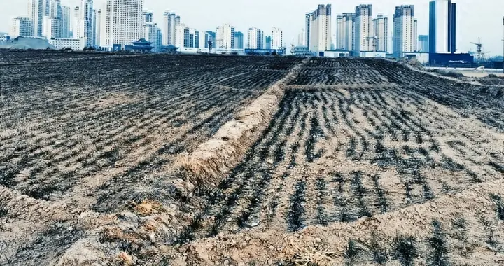 农村土地纠纷不需再吵了，2026年起，土地决定权都有一个标准了？