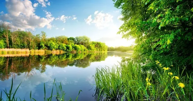 两性关系揭秘：夫妻之间真正的真谛往往只隐藏在这句话里你懂了吗