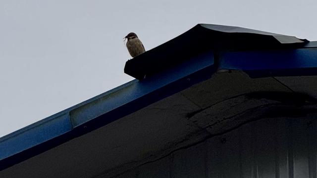 无处无声：失去一个朋友，很简单。 看到一