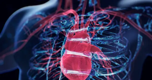 科学家研究发现中年时期的心脏健康状况，影响患痴呆症的风险。