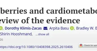 野生蓝莓，在血管抗衰老和降低心血管病风险方面，两方面都行
