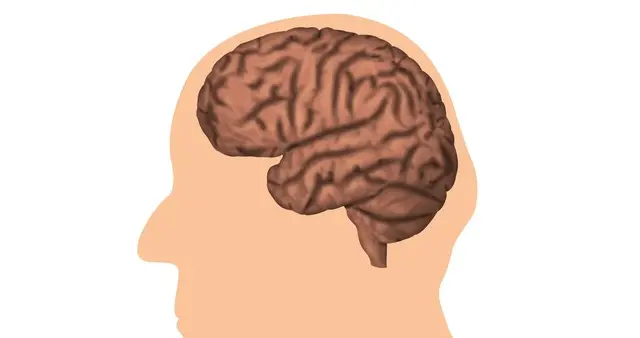 为父母收藏：改善记忆、延缓脑衰，10种中成药辨证使用指南