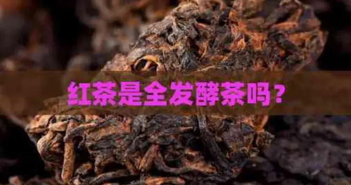 红茶发酵度不足100%？揭秘当代红茶工艺背后的风味变化