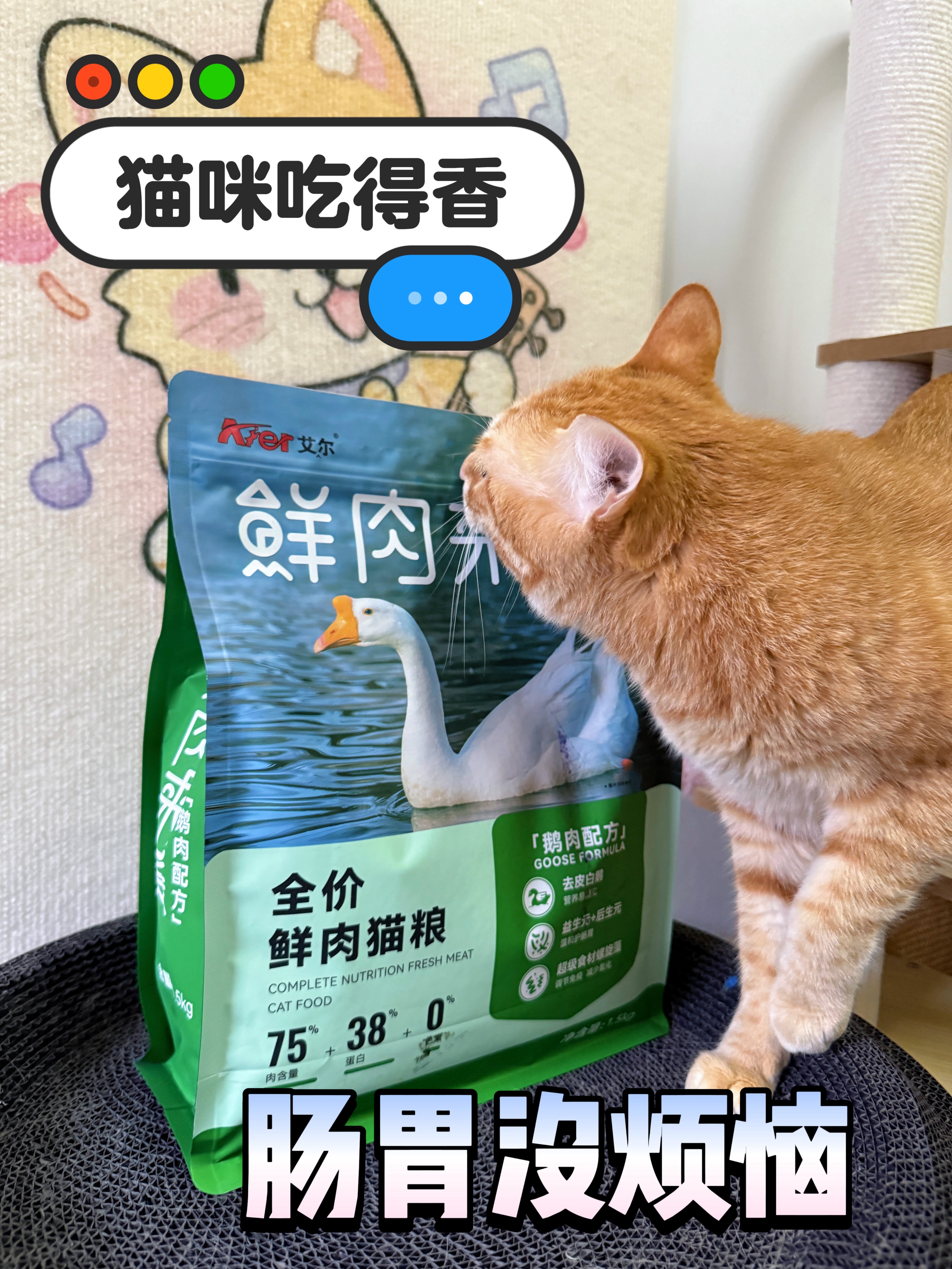 猫咪吃得香，肠胃没烦恼！