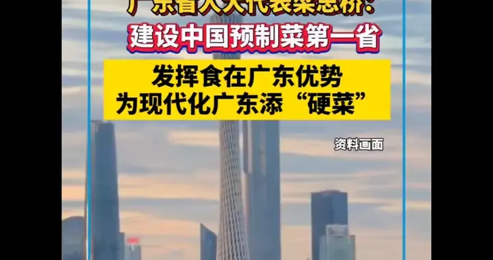 广东有人大代表提将“预制菜”列入重点要做第一!网友：最好出口
