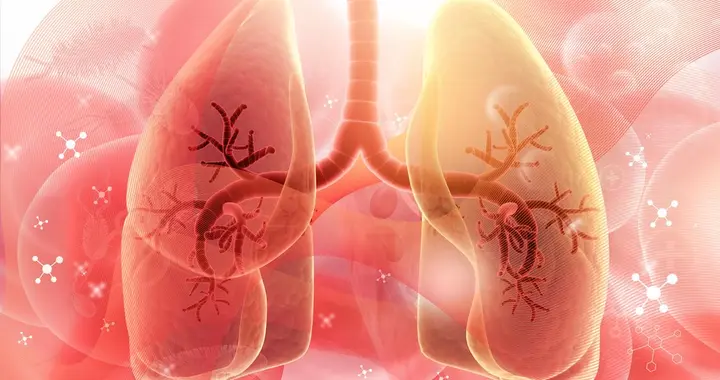 对肺特别好的食物，隔三天一次，杀菌消炎，养肺润肺，给肺大扫除