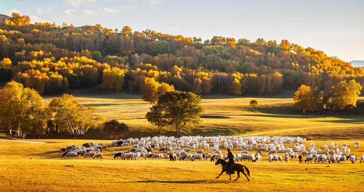 25092期，双色球，不同出号码，杀号预测